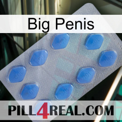 Big Penis 21